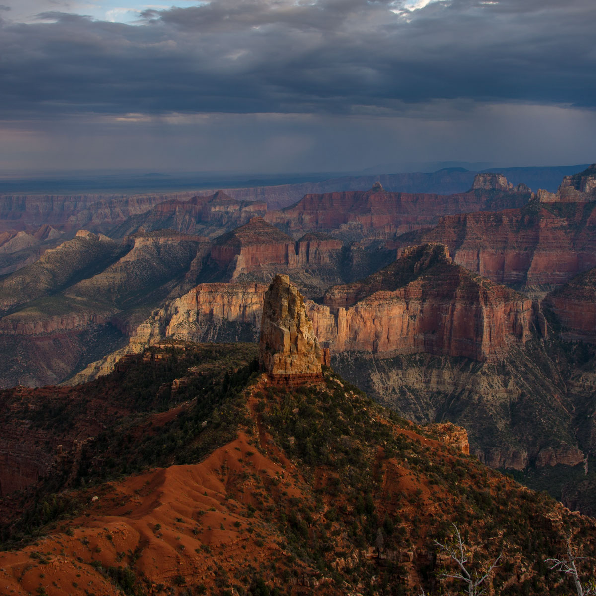 Point Imperial, North Rim of the Grand Canyon, Arizona